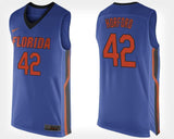 Al Horford Florida Gators Basketball Jersey