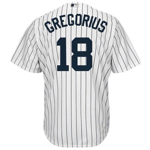 Didi Gregorius New York Yankees Baseball Player Jersey