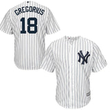 Didi Gregorius New York Yankees Baseball Player Jersey