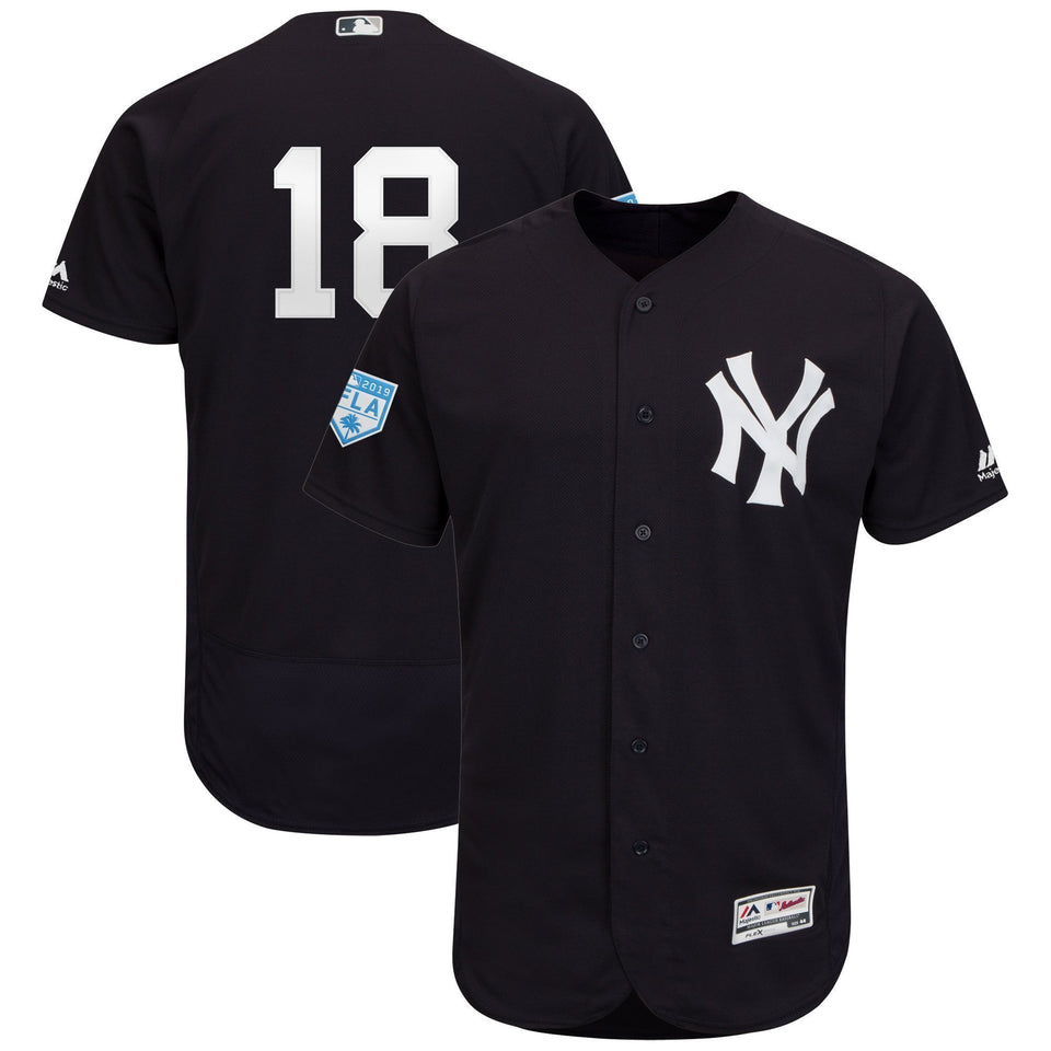 Didi Gregorius New York Yankees 2019 Spring Training Baseball Player Jersey
