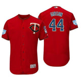 Kyle Gibson Minnesota Twins 2019 Spring Training Baseball Player Jersey