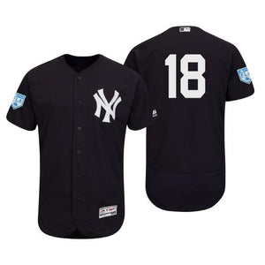 Didi Gregorius New York Yankees 2019 Spring Training Baseball Player Jersey